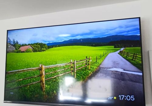 Fernseher