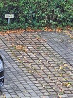 Monteurwohnung Hönow bei Berlin für bis zu 3 Personen | Nähe U-Bahnhof Bild 23