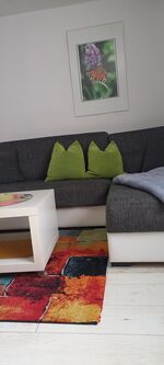 Wohn- Esszimmer mit Kamin und Schlafsofa 