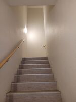 Einzelbetten, bis zu 3 Personen, zentral in Ahrensburg / bei Hamburg Bild 13