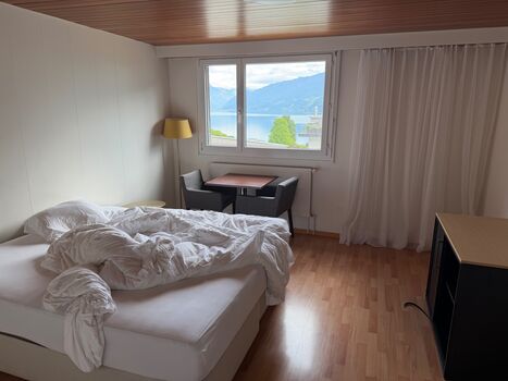 Montuerzimmer Weesen Glarus Schwyz St.Gallen Zürich Bild 4