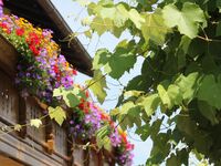 Pension zum Krug Bild 2