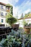 salt apartments I Weißenfels I 10+ Personen I hochwertig Bild 24