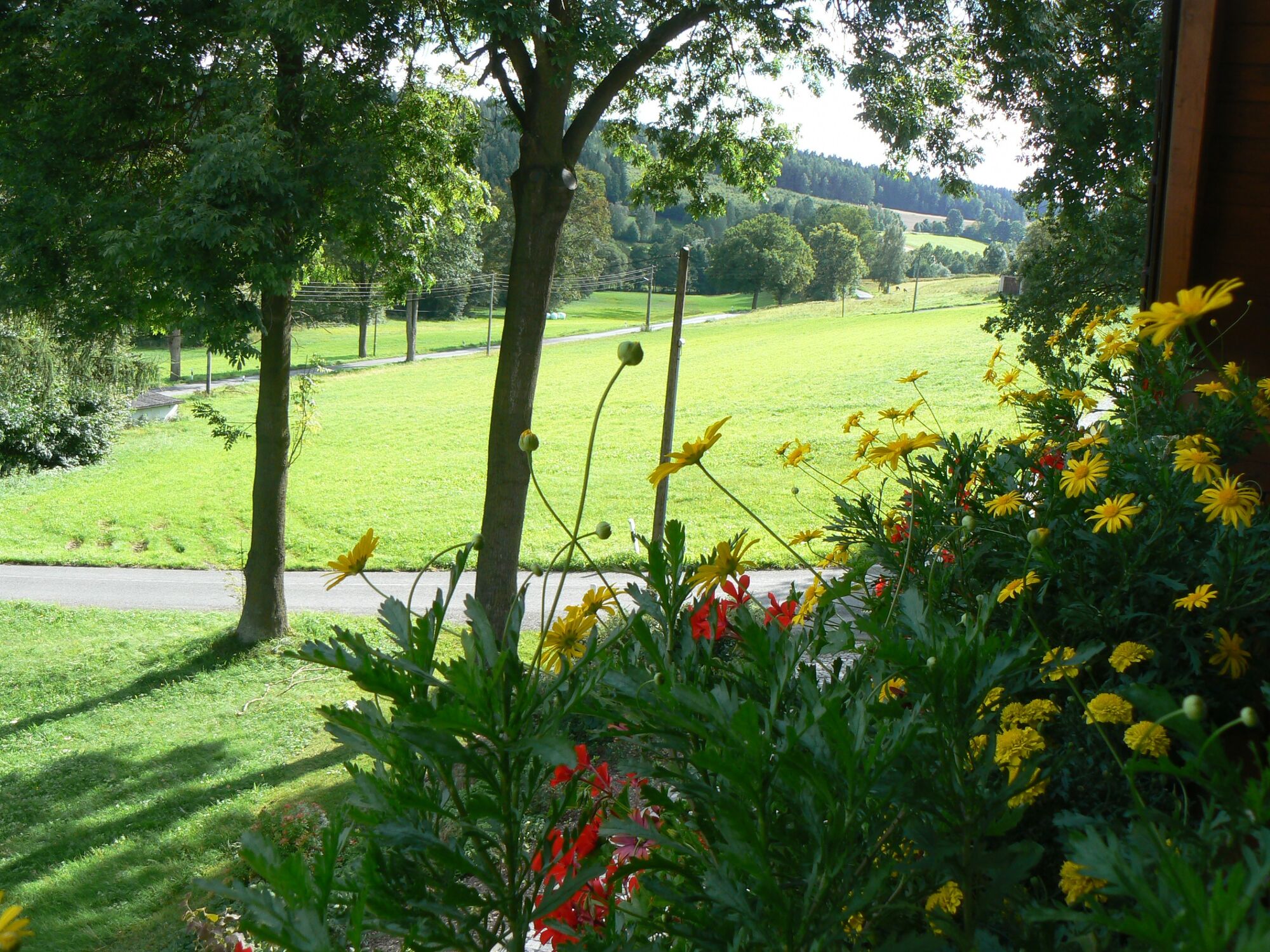 Blick vom Balkon