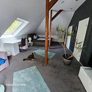 Wohnung Sanders Bild 3