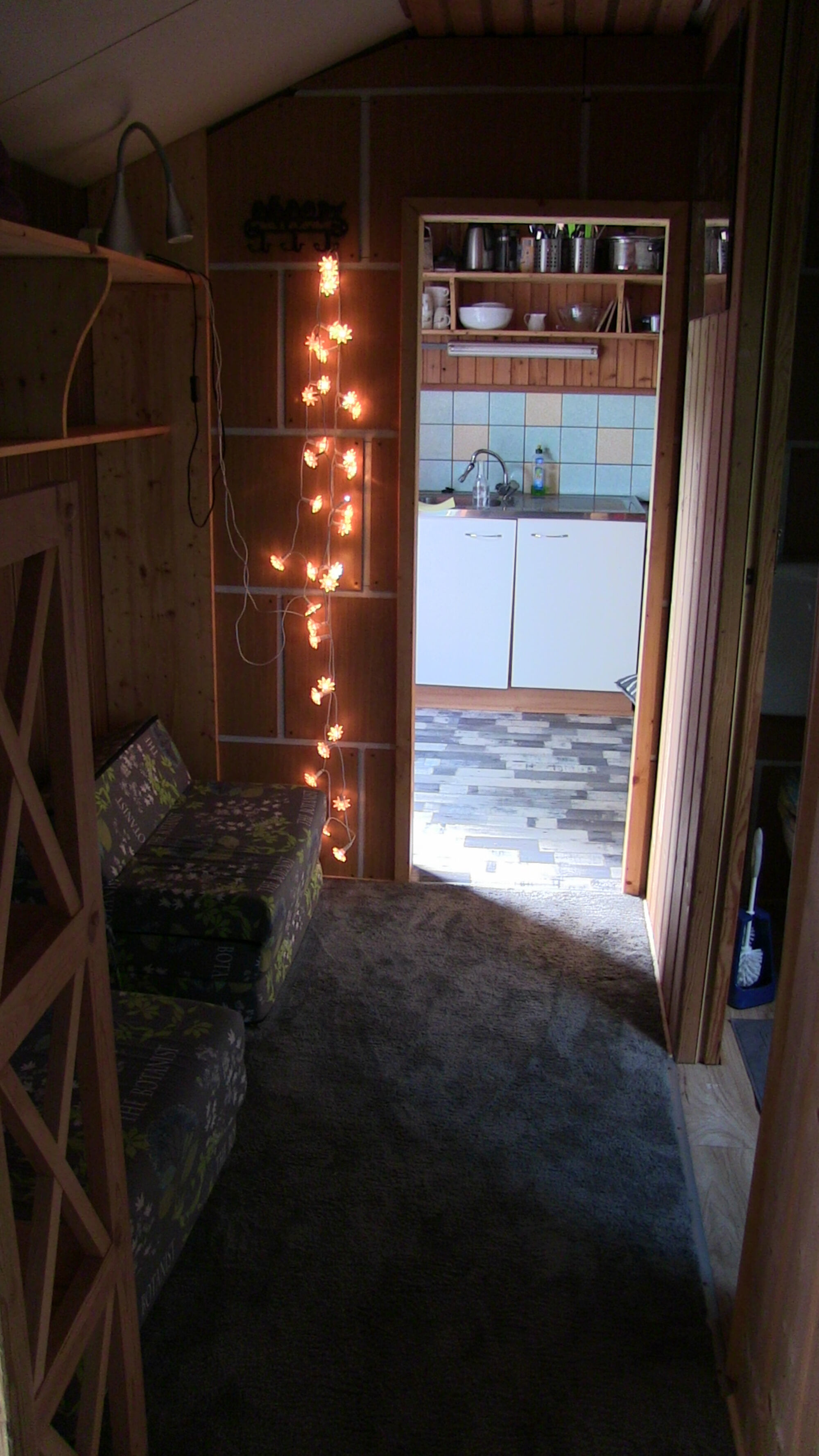 Picture 5