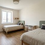 🧱 PottQuartier Picture 2