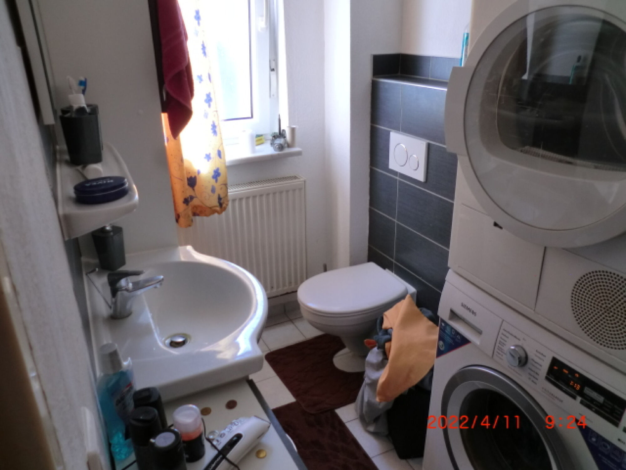 Picture 5