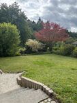 Ferienhaus am Bernsteinbach Bild 13