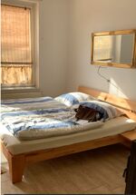 Gästezimmer in Goethestraße, Coswig Bild 1