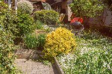 Gemütliches 2 Zimmer Apartment mit Garten und Stauraumfläche Bild 15