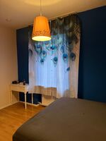 Haus M in Köln Sürth Bild 1