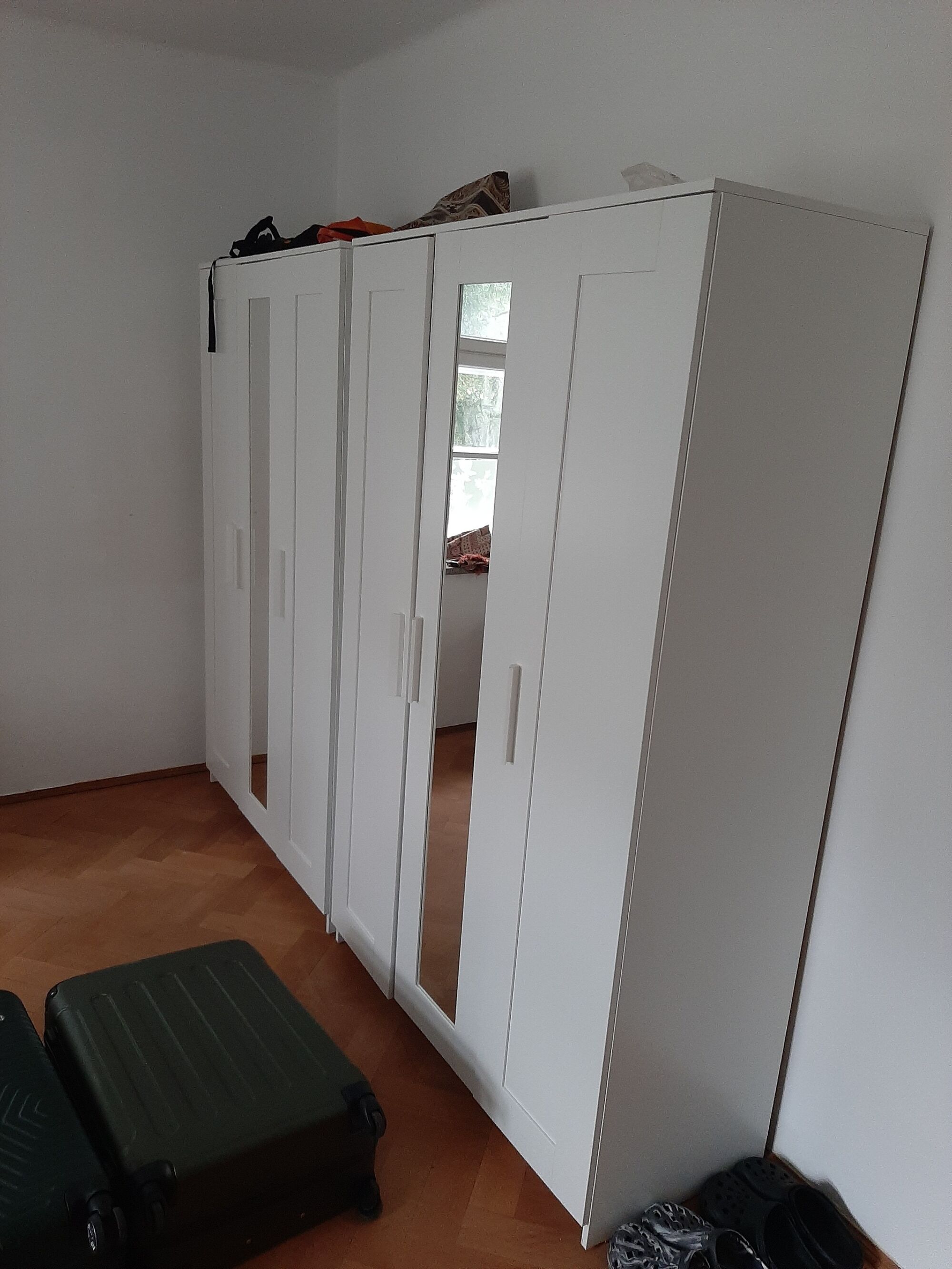 Picture 5