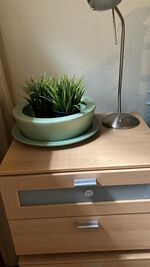 Haus Augenblick Bild 6