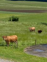 Kopphof Zimmervermietung Bild 9