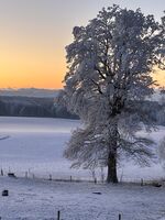 Kopphof Zimmervermietung Picture 16