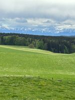 Kopphof Zimmervermietung Bild 12