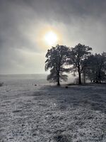 Kopphof Zimmervermietung Picture 18