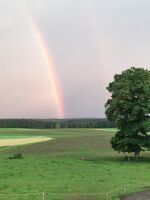 Kopphof Zimmervermietung Bild 13