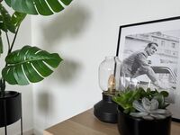 SAP11/ Socha Apartments/ Monteurunterkunft/ Hilden/ 5Pers Bild 8