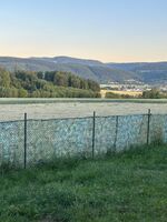 Ausblick