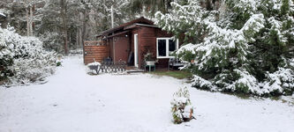 Kleiner Bungalow Am Wald Bild 10