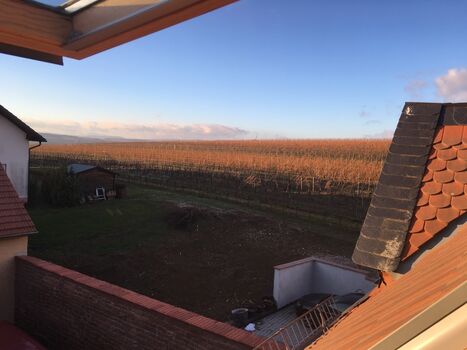 Ferienwohnung am Weinberg Obrázok 3