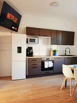 Luvonio Apartments Magdeburg | 9 moderne Wohnungen 36 Betten Zdjęcie 1