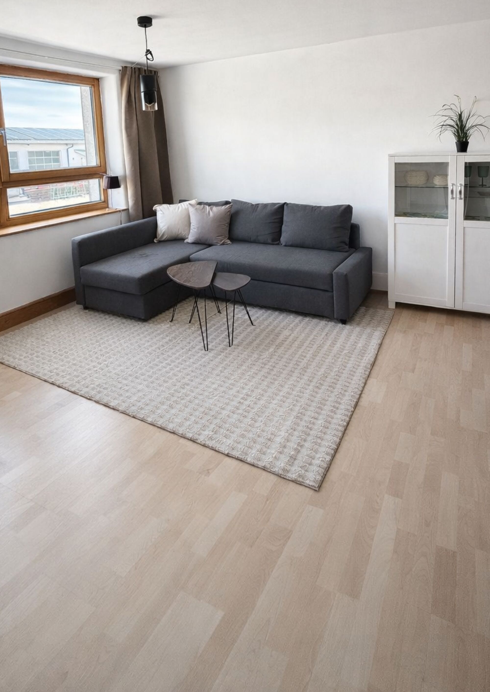 Wohnbereich mit Schlafcouch und TV