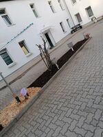 SeeTime ( ALL-INCLUSIV RENT ) Zdjęcie 10