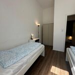 Monteurunterkunft / Monteurwohnung / möbilierte Wohnung Picture 4