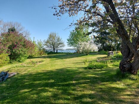 Sonne am Sund Bild 5