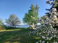 Sonne am Sund Bild 7