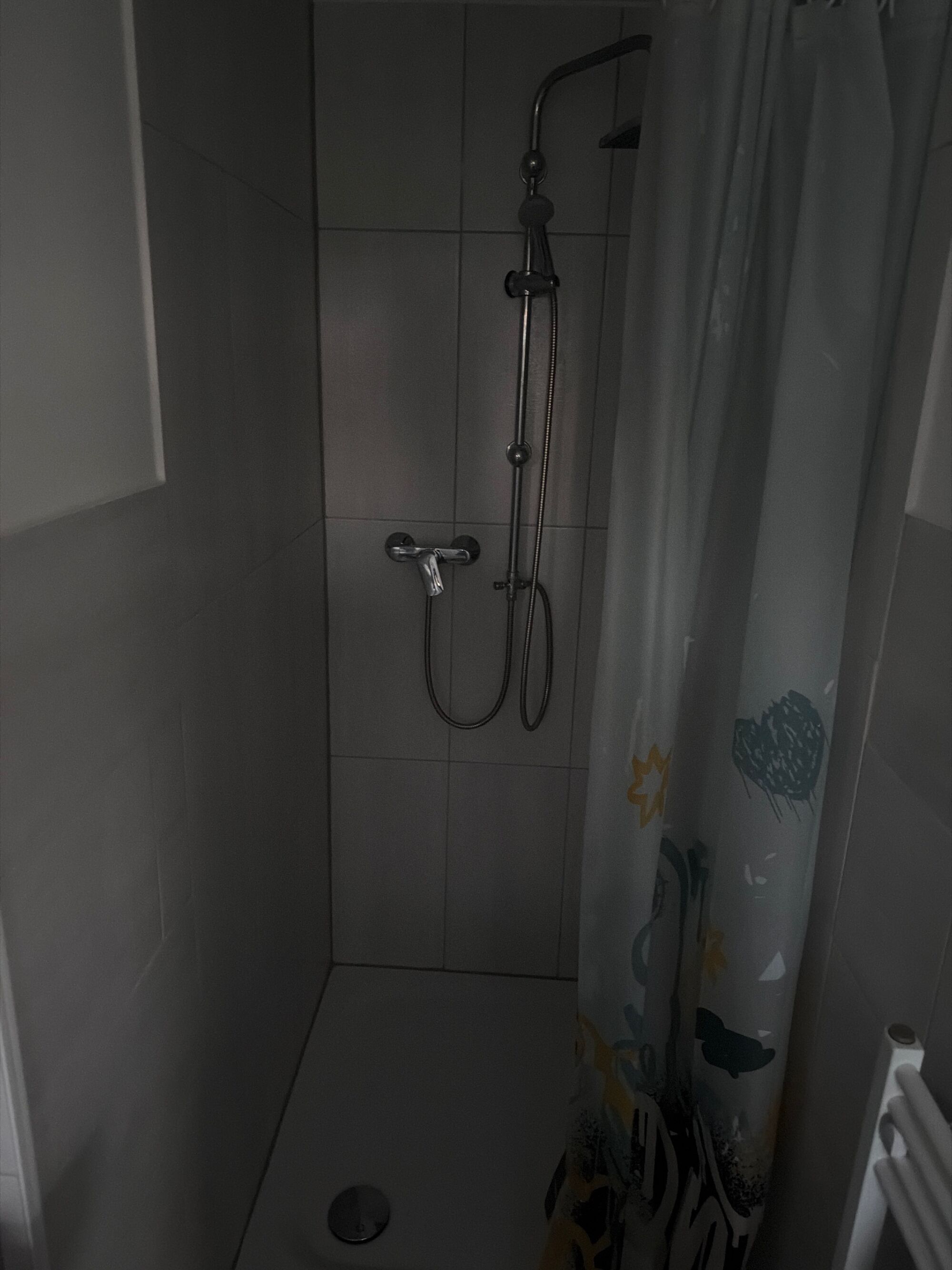 Picture 5