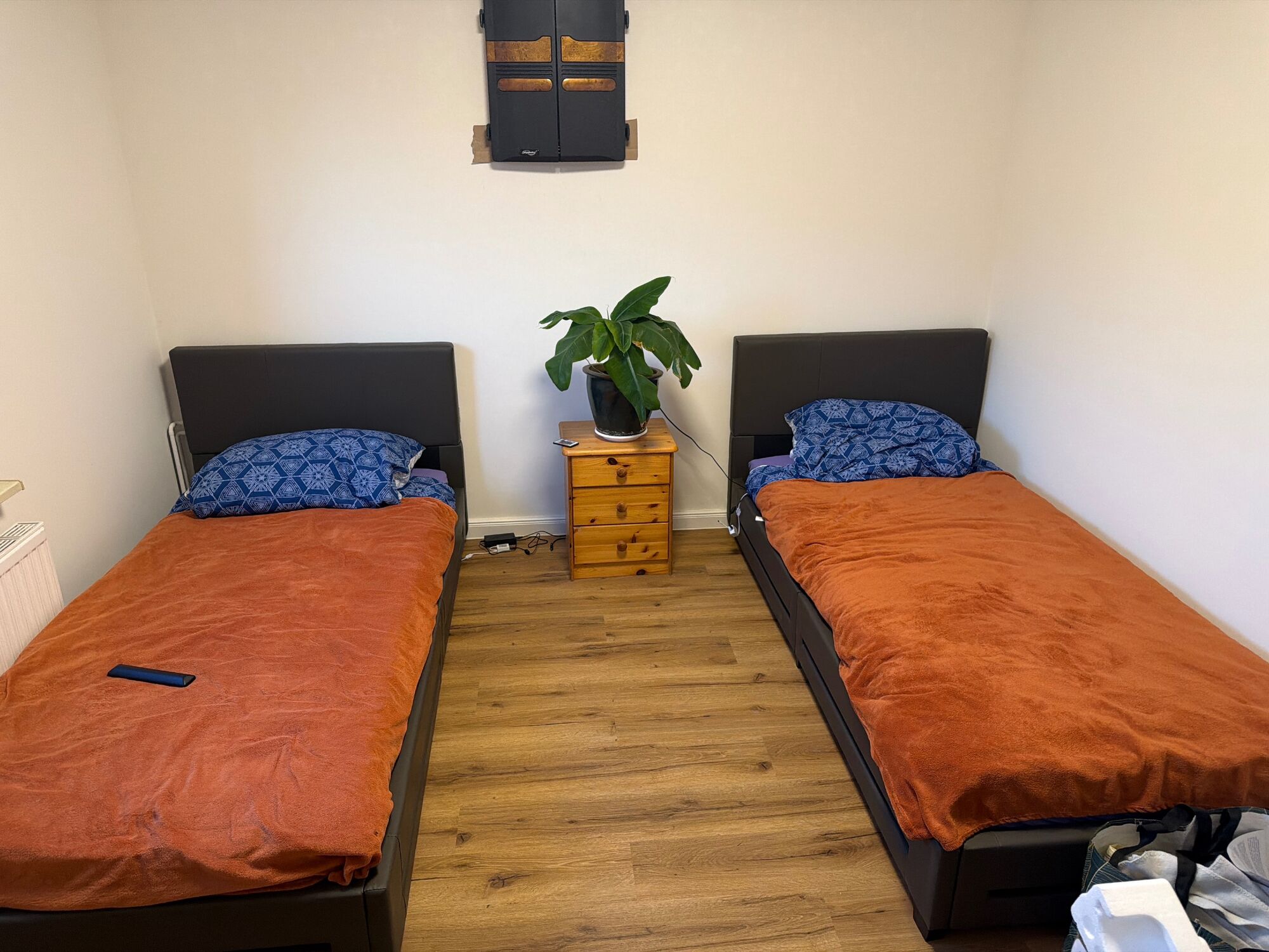 Picture 1