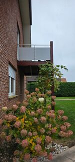 Wohnung Engelmann Bild 4