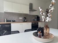 Socha Apartments/ Business-Suite/ Monteurwohnungen Picture 6