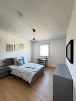Socha Apartments/ Business-Suite/ Monteurwohnungen Picture 21
