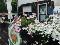 Das Landhaus Klambauer *** Apartmemthaus Thermennähe Bild 9