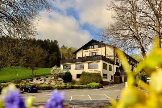 Monteurzimmer zur Langzeitmiete - Hotel Gassbachtal