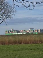 Schiffe auf der Elbe