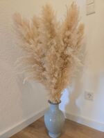 Elbdeck – Monteurwohnung für 4 Personen Bild 23