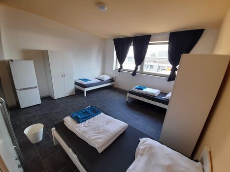 Pension Wohlgelegen Picture 3