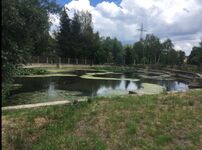 Siggi‘s-Ranch Picture 28