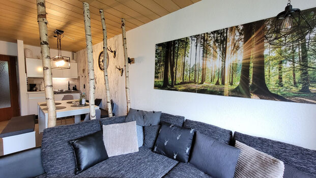 Harz-Hütte - schnuckelige FeWo mit Balkon und Gartenblick Bild 3