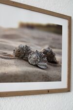 Perfektes Apartment am Iserlohner Kreuz A46 / 233 Picture 18