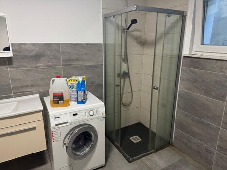 Pension Savin Picture 4