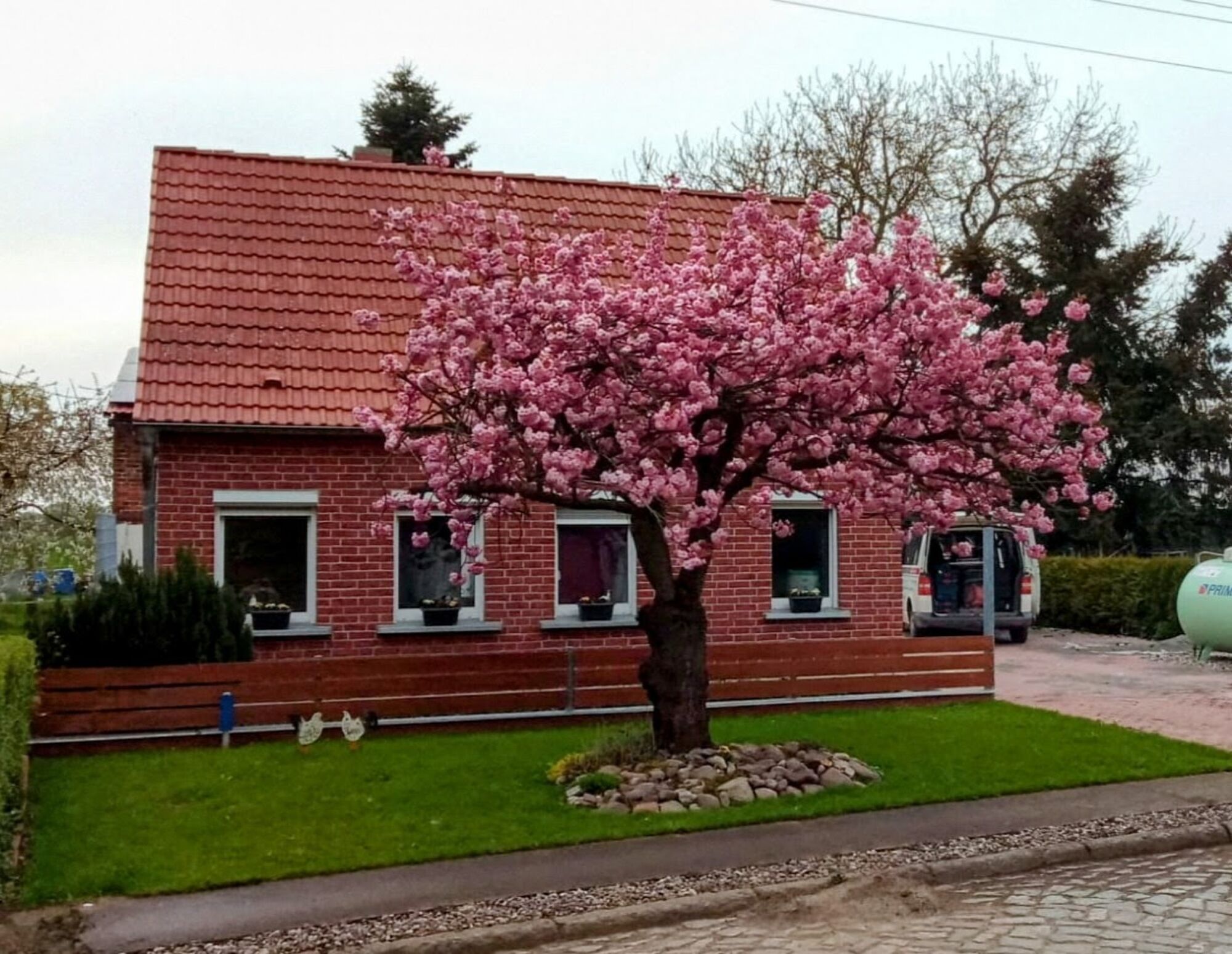 Haus mit Grundstück zur allein Nutzung