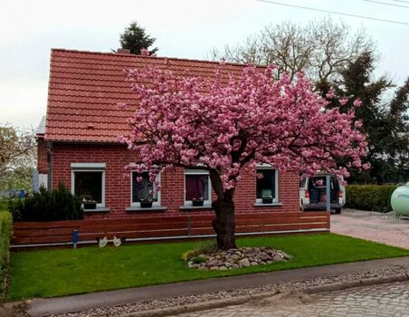 Haus mit Grundstück zur allein Nutzung