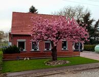 Haus mit Grundstück zur allein Nutzung